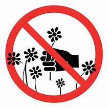 Image result for Don't Pick Flowers Sign