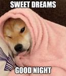 Image result for Good Night Meme Worry-Free