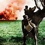 Image result for Graphic Organsie Daily Life of a WW1 Soldier