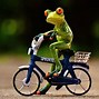 Image result for Crazy Kermit the Frog