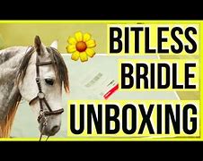 Image result for Bridle Unboxing
