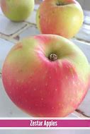 Image result for Zestar Apple