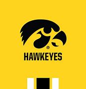 Image result for Iowa Hawkeyes Wrestling