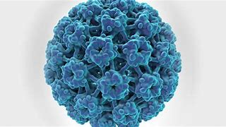 Image result for HPV Skin Cancer