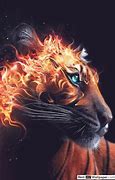 Image result for Habitat XCVI Galaxy Tiger