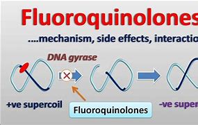 Image result for Fluoroquinolone Cross-Reactivity