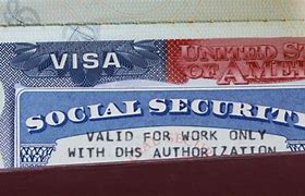 Image result for Work Visa for USA