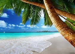 Image result for tropical
