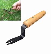 Image result for Weeding Tools for Garden