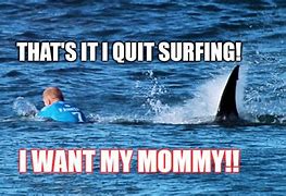 Image result for Florida Shark Attack Meme