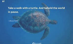 Image result for Animal Conservation Quotes