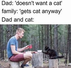Image result for Facebood Dad Meme Cat