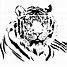 Image result for White Tiger Face Drawing