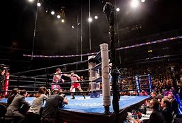 Image result for Boxing Match School