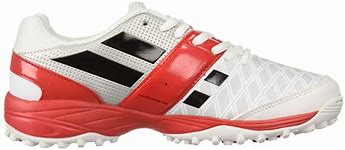 Image result for Gray-Nicolls Cricket Shoes