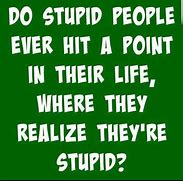 Image result for Funny Quotes About Stupidity