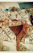 Image result for Cat Money Wallpaper