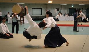 Image result for Japan Aikido