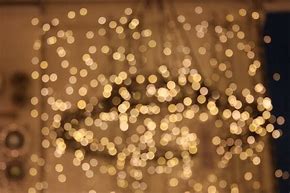 Image result for Christmas Lights On White Background