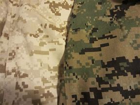 Image result for Marine Corps Camouflage