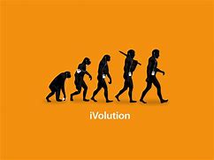 Image result for Human Evolution Funny