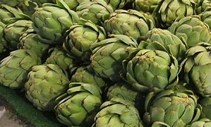 Image result for alcaudil