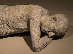 Image result for Pompeii People and Animals