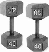 Image result for Cast Iron Dumbbell Weights