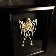 Image result for Free 3D Printed Fruit Bat