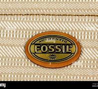 Image result for Fóssil Brand