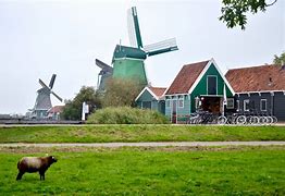 Image result for Zaandijk