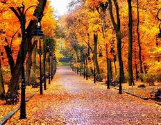 Image result for Cool Fall Backgrounds