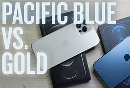 Image result for iPhone 12 Pro Max Gold Vs. Blue