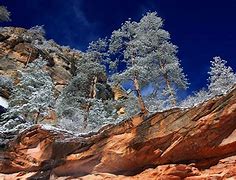 Image result for Warmest Arizona Towns in Winter
