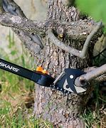 Image result for Tree Trimming Tools
