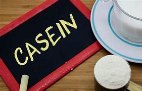 Image result for Casein Products