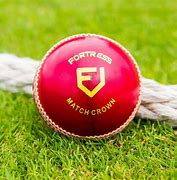 Image result for Cricket Ball Cut in Half