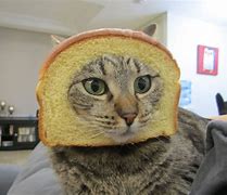 Image result for Evil Bread Meme