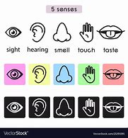 Image result for 5 Senses Pic Auditory