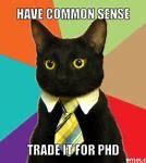 Image result for Banker Cat Meme