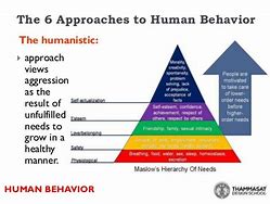Image result for Human Behavior