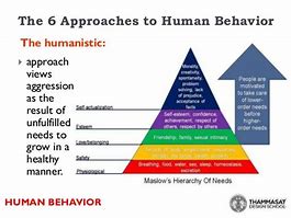 Image result for Human Behavior