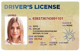 Image result for Fake ID for Teenagers