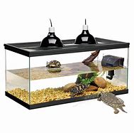 Image result for Portable Pet Turtle Pool