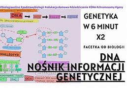 Image result for co_oznacza_zmienność_genetyczna