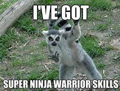 Image result for Ninja Love Meme