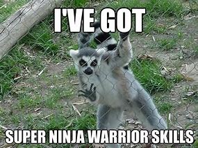 Image result for Ninja Kid Meme