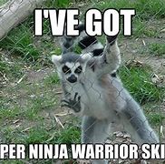Image result for Girl Ninja Meme