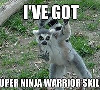 Image result for I'm a Ninja Meme