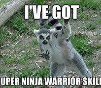 Image result for I'm a Ninja Meme